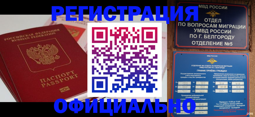 прописка для школы в Струнино
